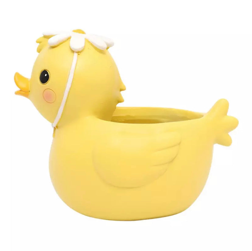 Roogo