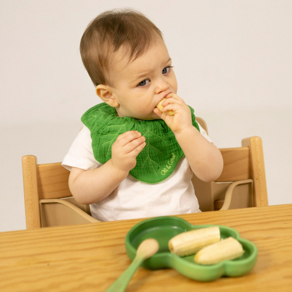 Kendall le Chou kale – Ensemble assiette et cuillère bébé