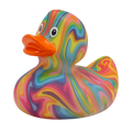 Canard Groovy