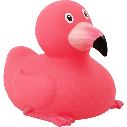Canard Flamant Rose
