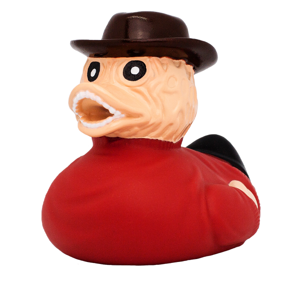 Canard Le Visage Lilalu - vue 2