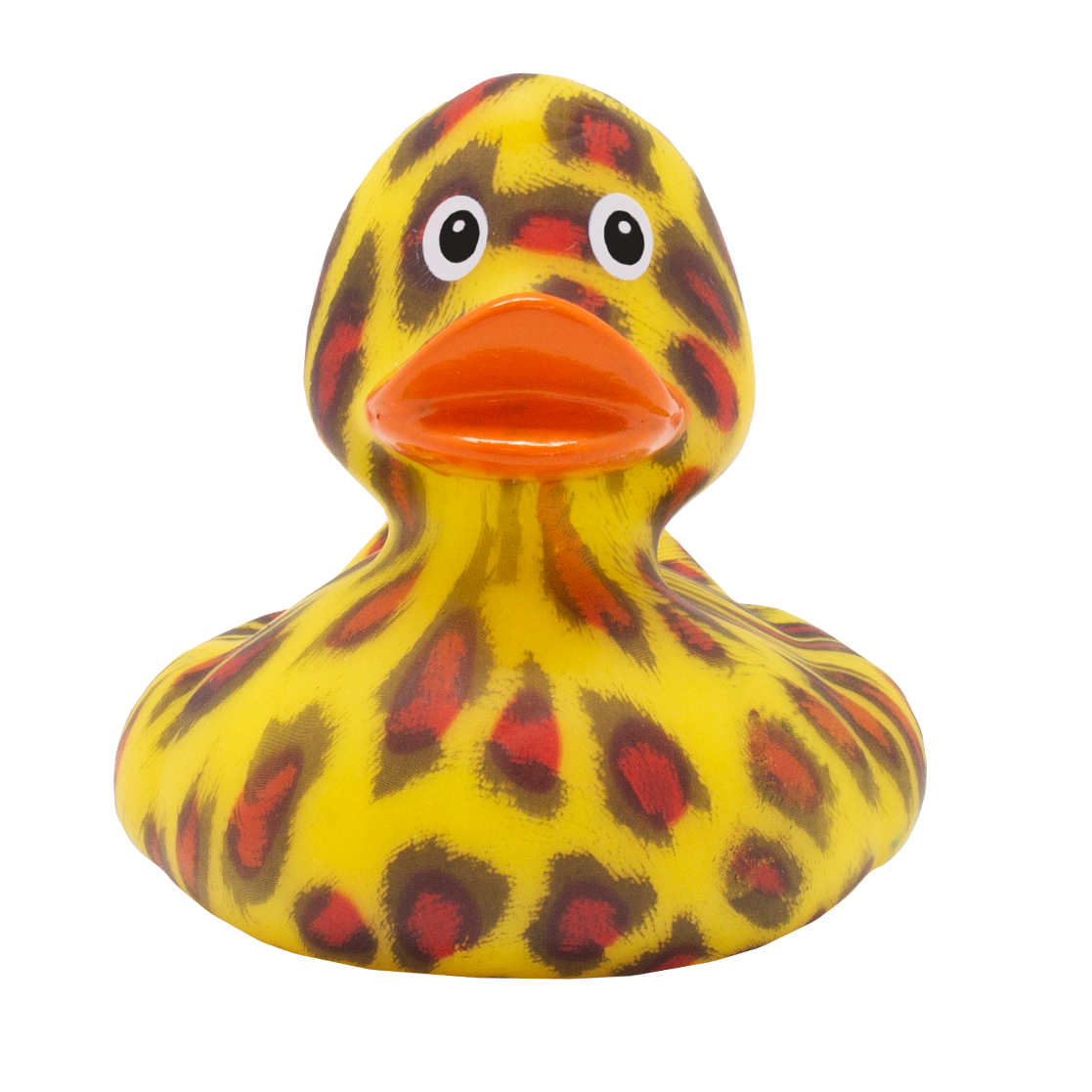 Canard Chat Sauvage
