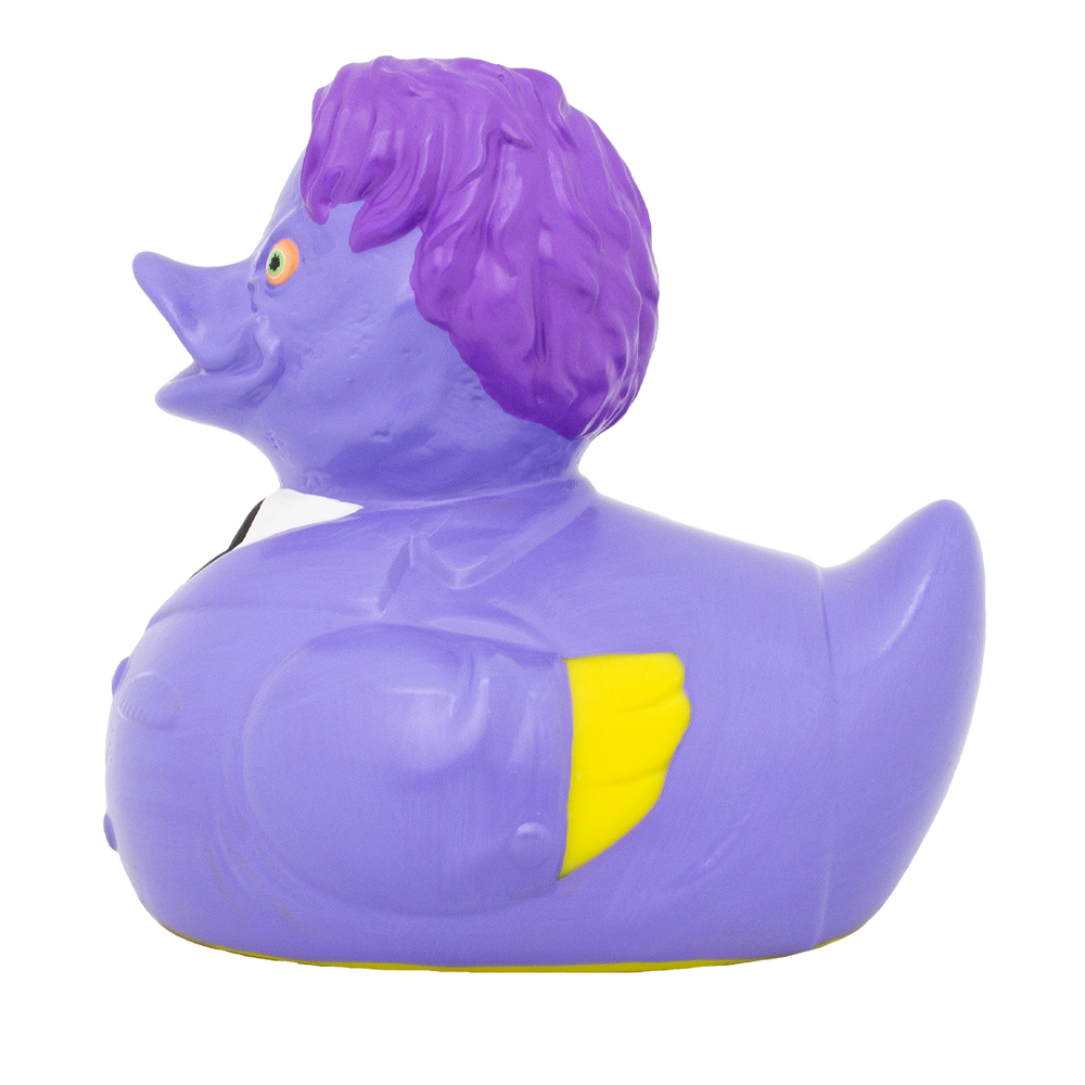 Ente Zwei Gesichter