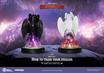 Toothless &amp; Light Fury