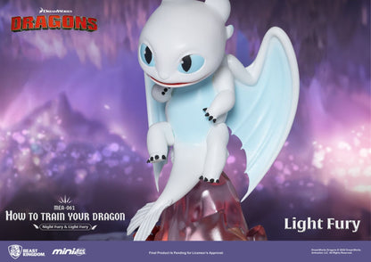 Toothless &amp; Light Fury