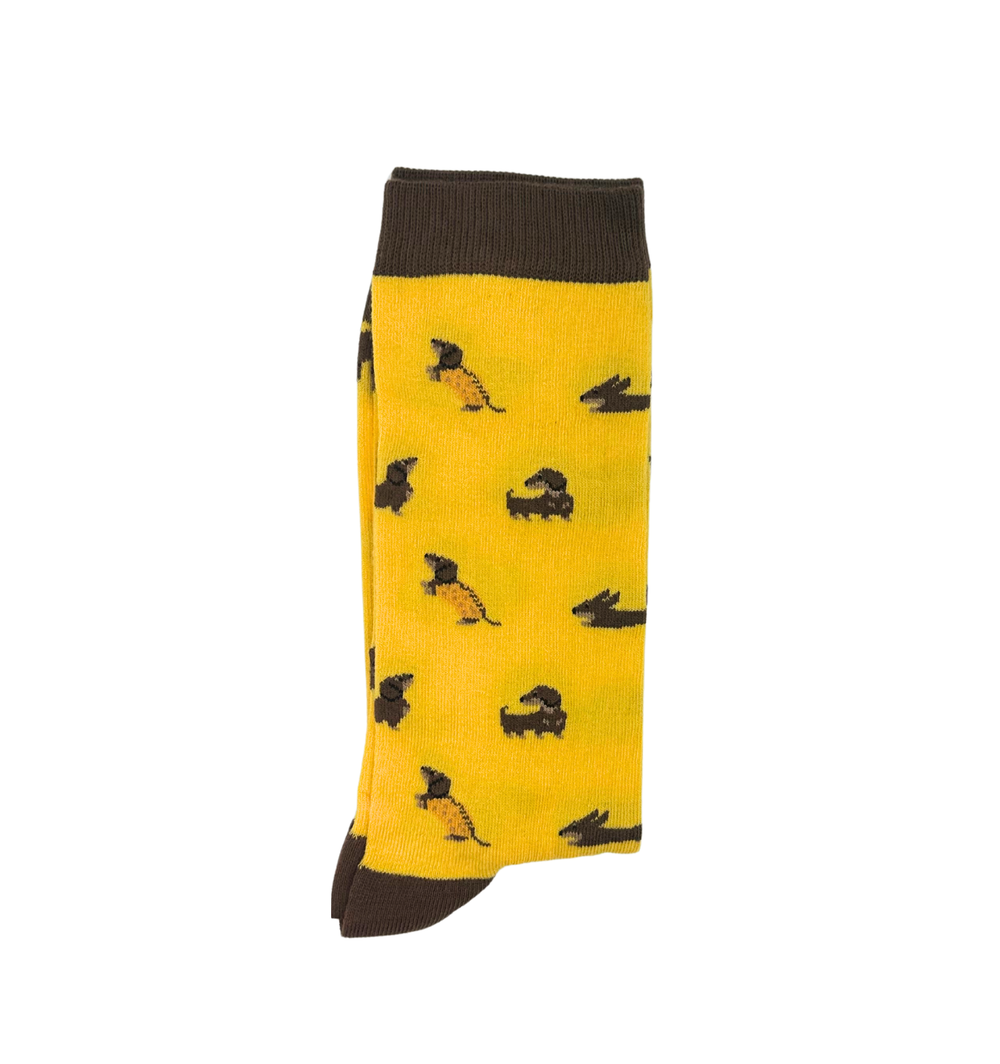 Chaussettes « Kiko – Chien Teckel »