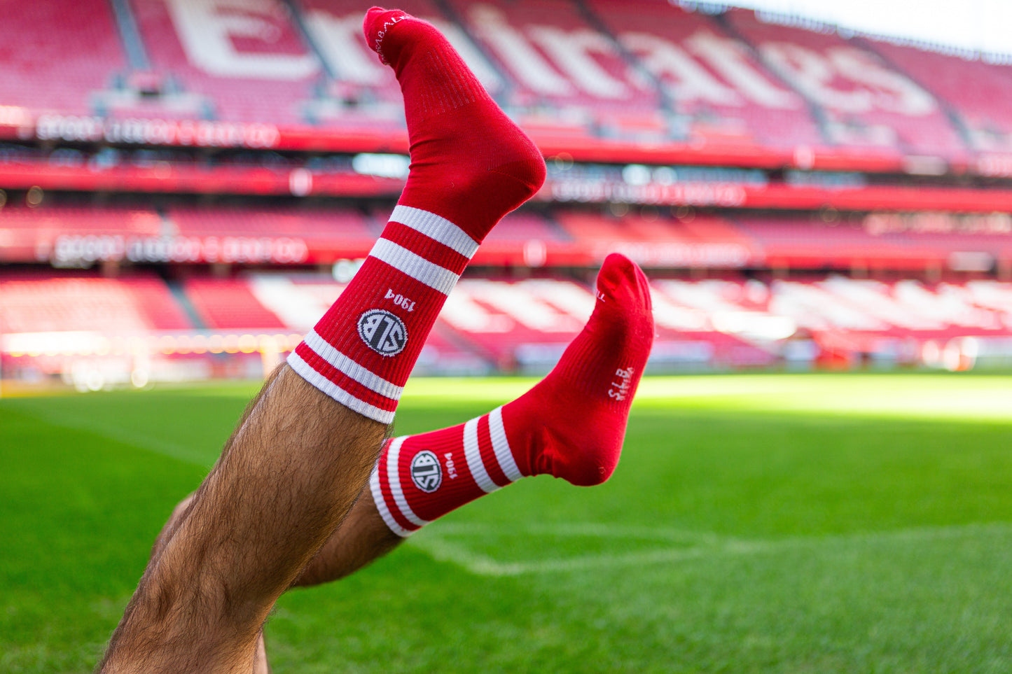 Chaussettes SL Benfica « 1904 Rouge » - Chulé