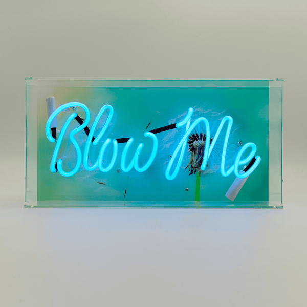 "Blow Me" Neon Box Sign