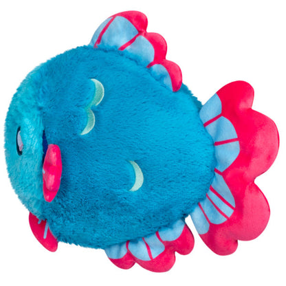 Peluche Mini Squishable – Betta Poisson