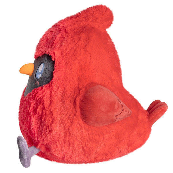 Peluche Mini Squishable – Cardinal