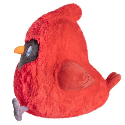 Peluche Mini Squishable – Cardinal