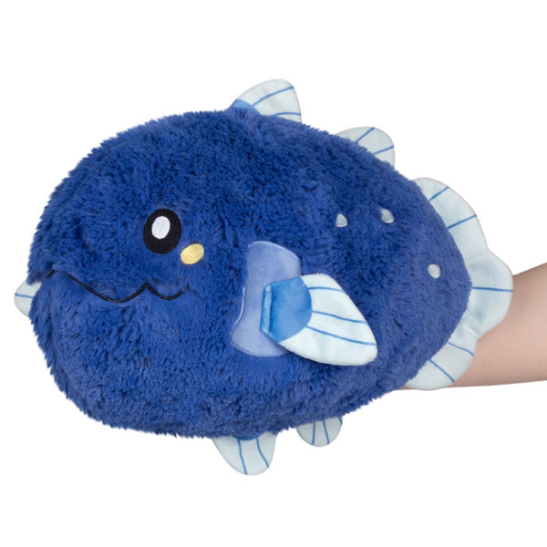 Peluche Mini Squishable – Coelacanth