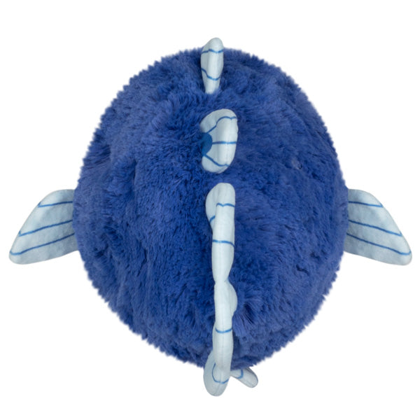 Peluche Mini Squishable – Coelacanth