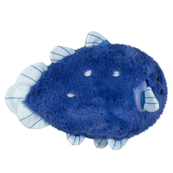 Peluche Mini Squishable – Coelacanth