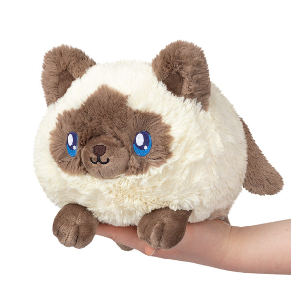 Peluche Mini Squishable – Chat Colorpoint