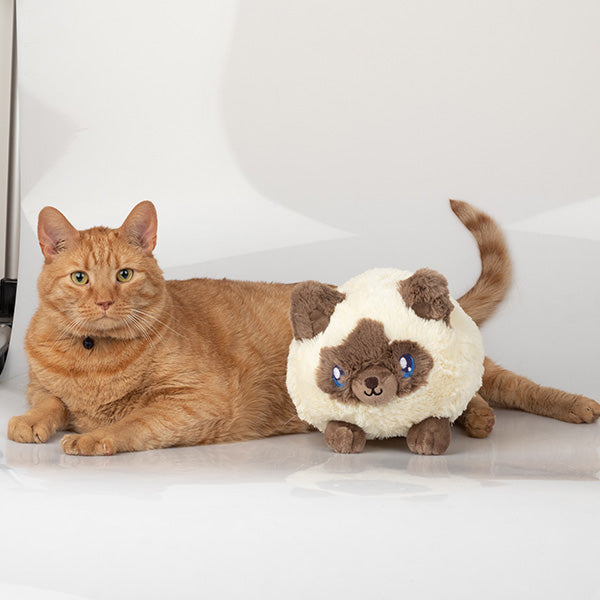 Peluche Mini Squishable – Chat Colorpoint