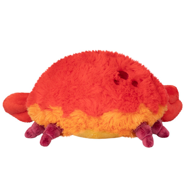 Peluche Mini Squishable – Crabe