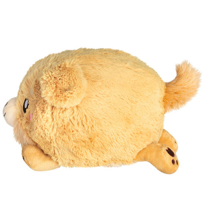 Peluche Mini Squishable – Golden Chiot