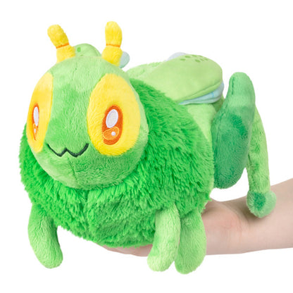 Peluche Mini Squishable – Sauterelle
