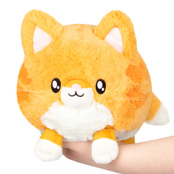 Peluche Mini Squishable – Chat
