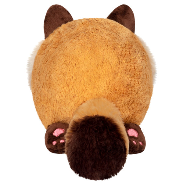 Peluche Mini Squishable – Tanuki