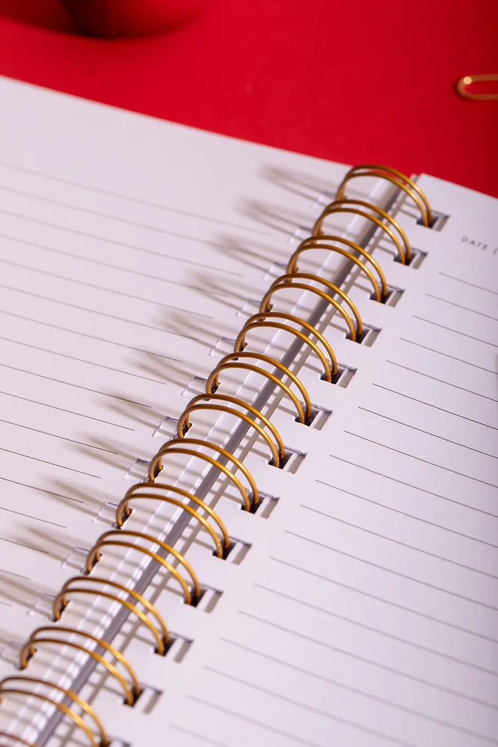 Heart - Spiral Notebook