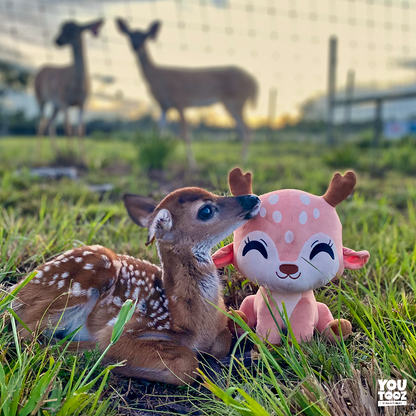 Oh Deer Plush (9in)