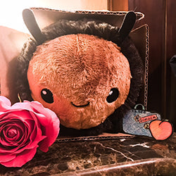 Peluche Squishable – Bourdon Tout Doux