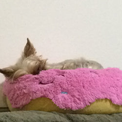 Peluche Squishable – Donut Rose