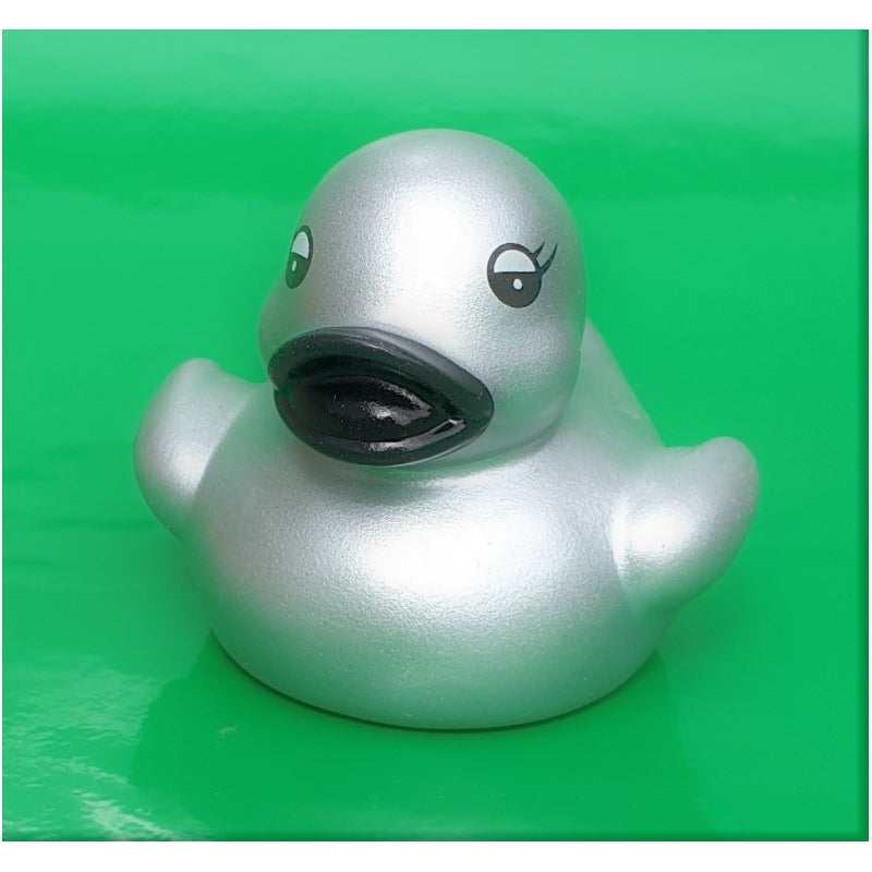 Small silver duck