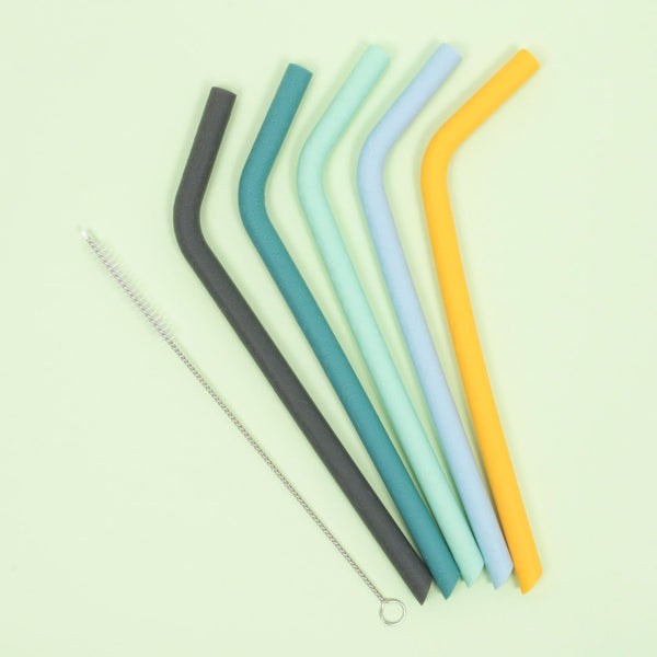 Sun & Sky silicone straws set