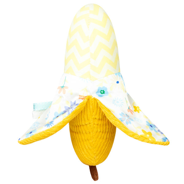 Baby Banana Picnic