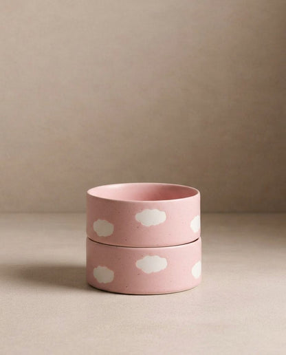 Ensemble de 2 bols pour animaux Pink Cloud 14cm