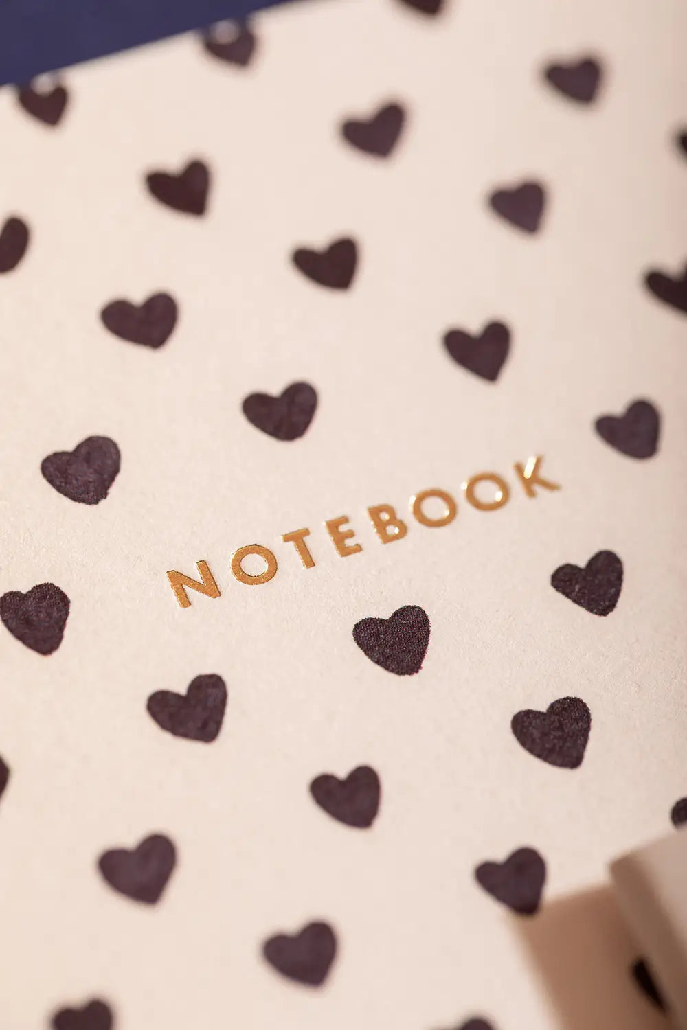 Dalmatian - A6 DUO Pocket Notebook
