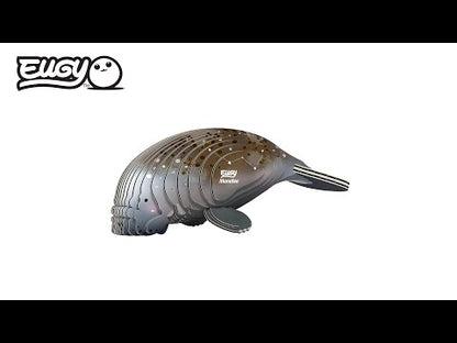 EUGY 3D - Manatee