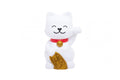 Nachtlicht Chat Chanceux
