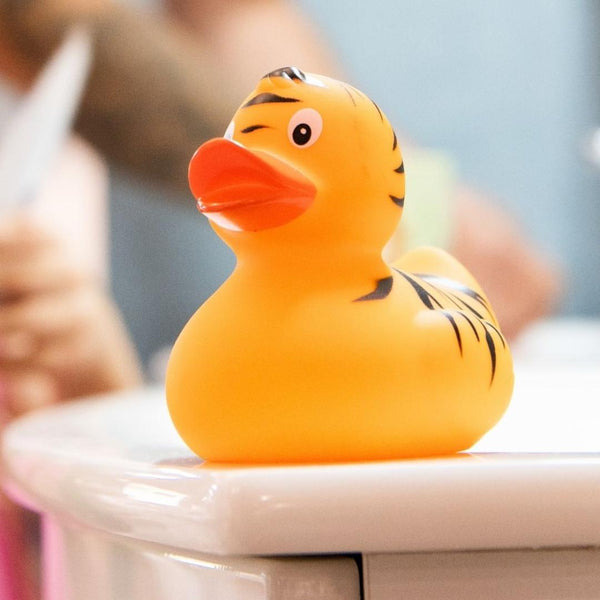 Canard Tigre
