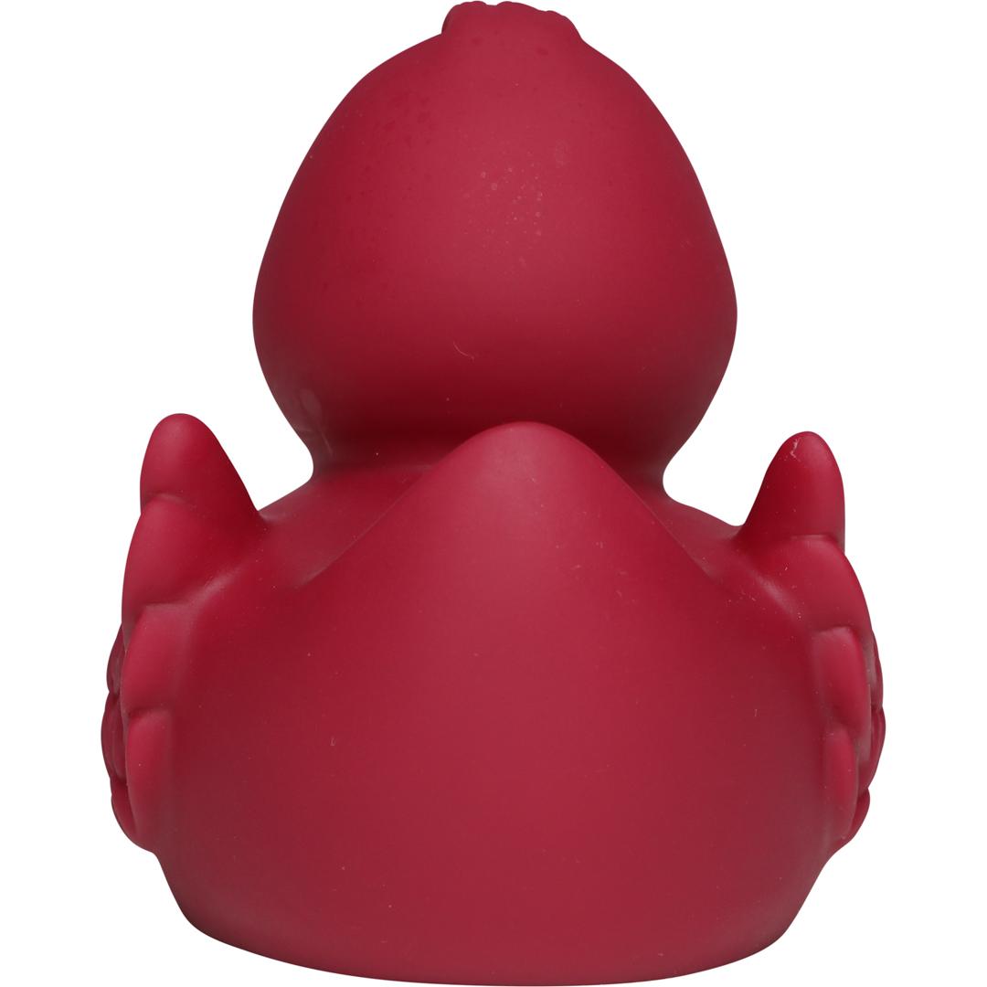 Canard uni avec ailes