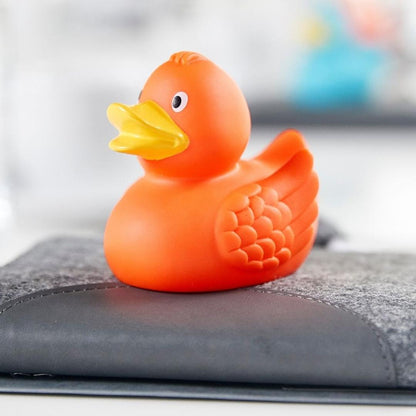 Canard uni avec ailes