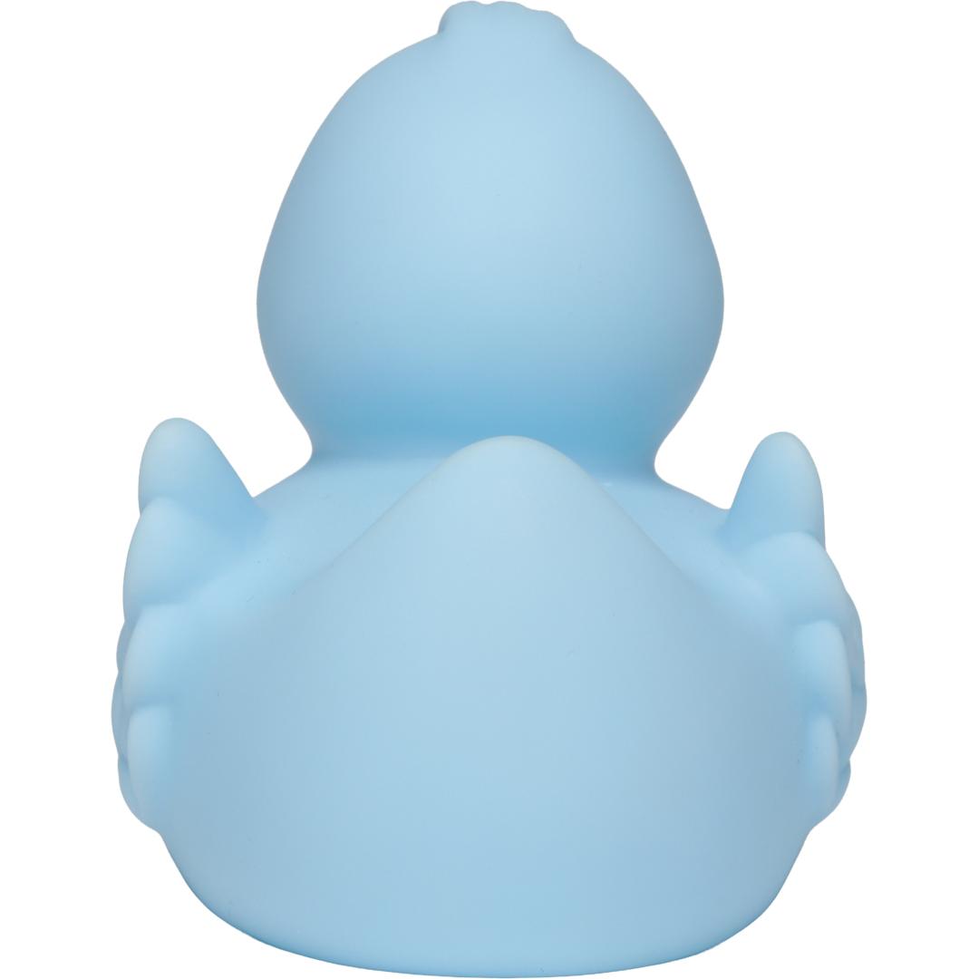 Canard Pastel avec ailes