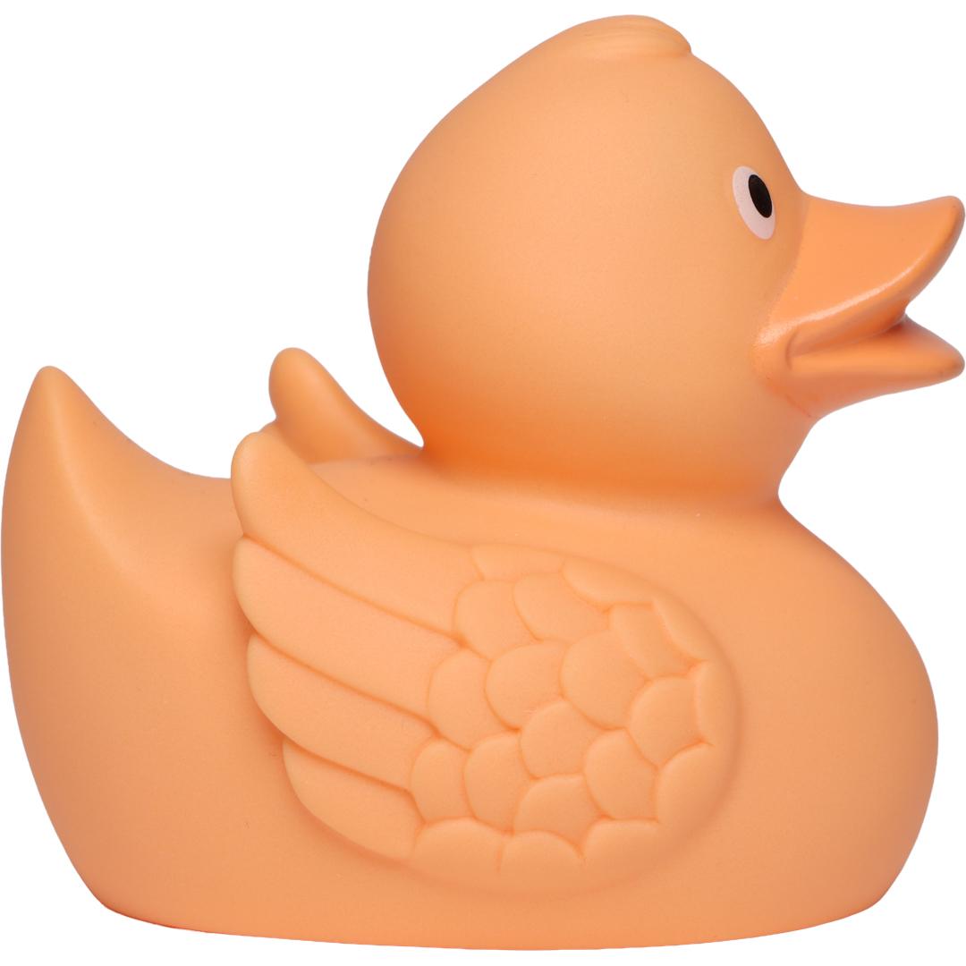 Canard Pastel avec ailes