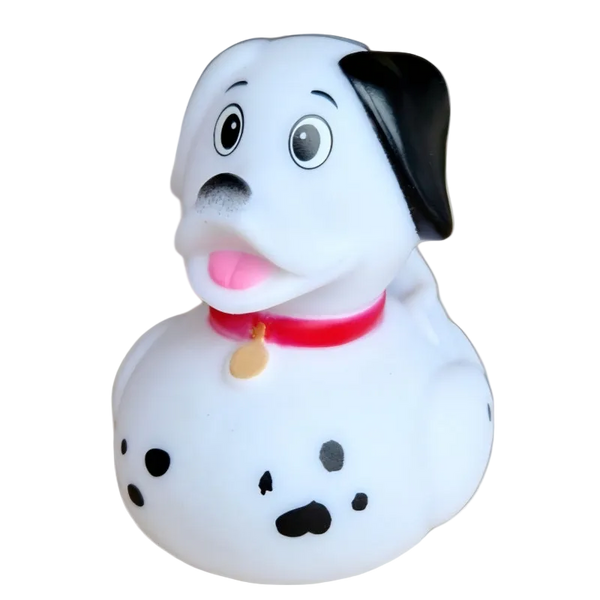 Dalmatian Duck