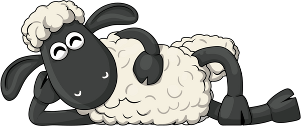 Shaun 