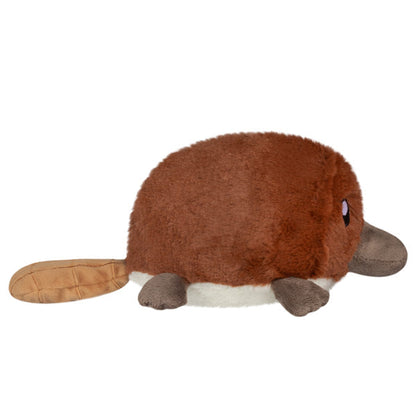 Peluche Snacker – Bébé Ornithorynque