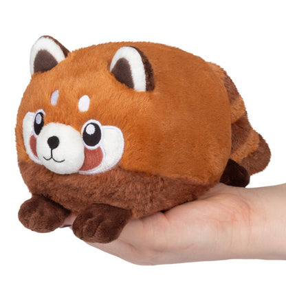 Snacking Baby Red Panda