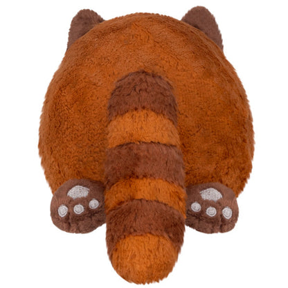 Snacking Baby Red Panda
