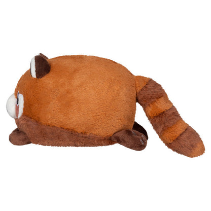 Snacking Baby Red Panda