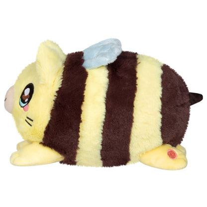 Snack Cat Bee