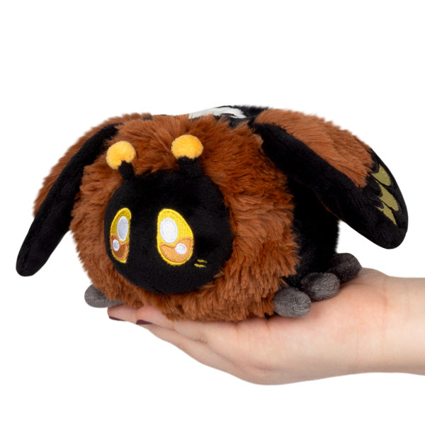 Snacker Death's-head Hawk Moth