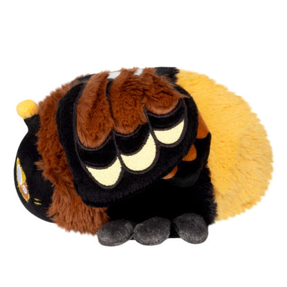Snacker Death's-head Hawk Moth